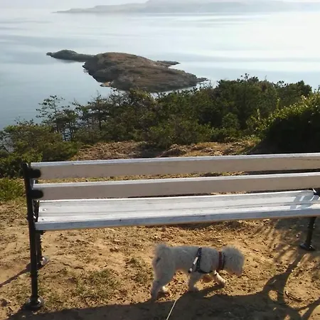 Damir 2838 Apartment