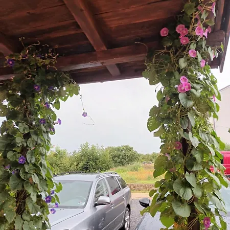 Apartment Damir 2838 Lopar