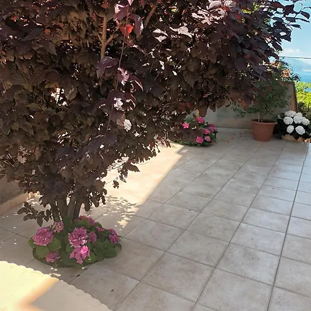 Apartment Damir 2838 Lopar