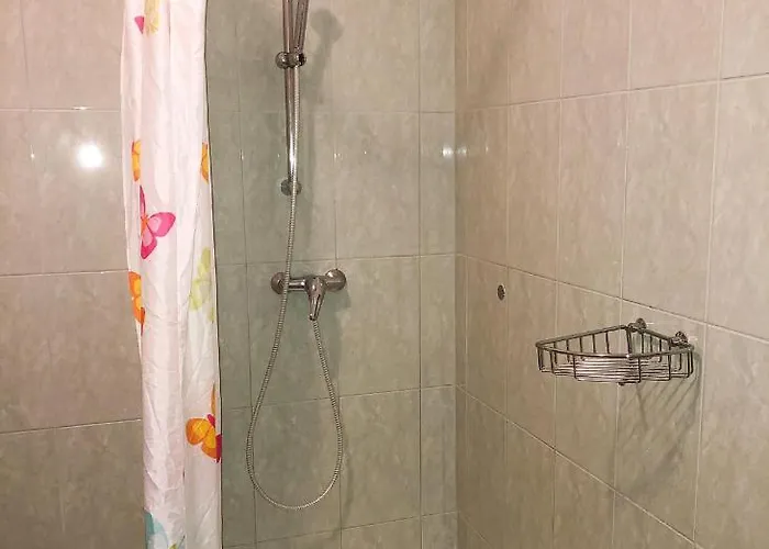 Damir 2838 * لوبار