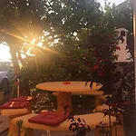 Damir 2838 Appartement Lopar